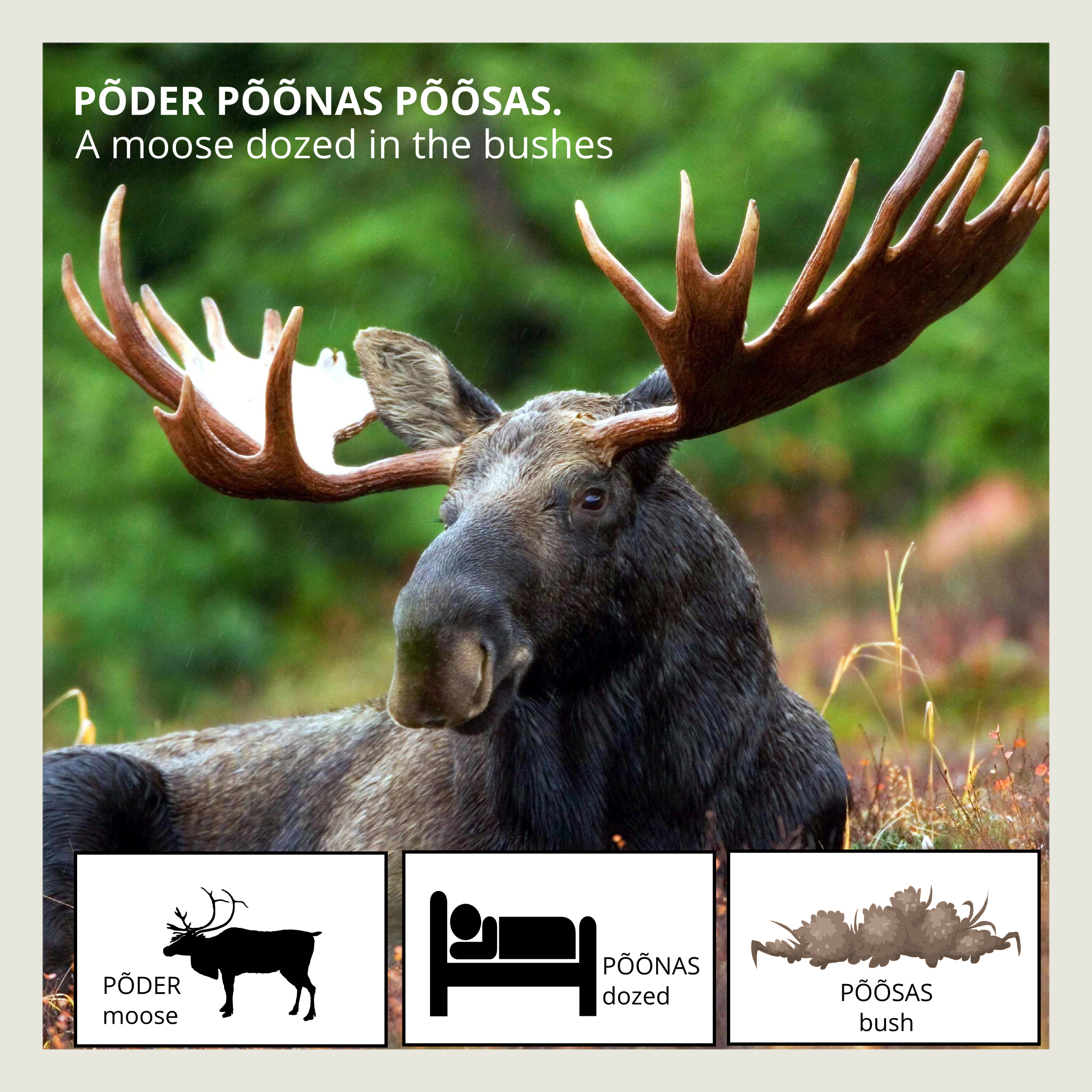 10 Estonian Tongue Twisters for Language Addicts - UT BlogUT Blog