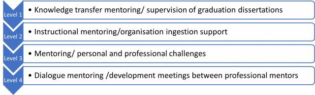 Four levels of mentoring